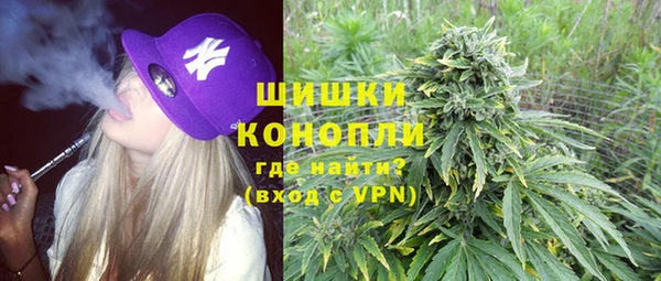 стаф Мегион